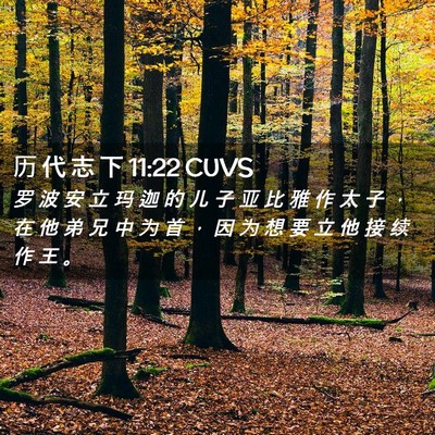 Picture 02 - 历 代 志 下 11:22 CUVS - 罗 波 安 立 玛 迦 的 儿 子 亚 比 雅 - Bible Verse Picture