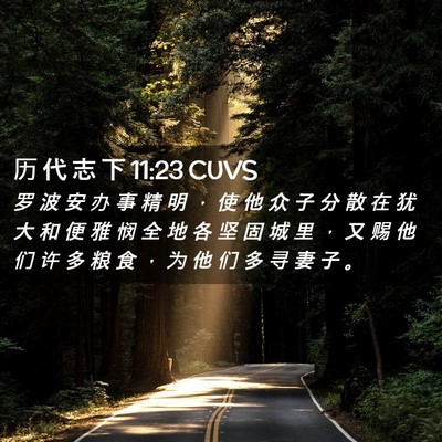 Picture 02 - 历 代 志 下 11:23 CUVS - 罗 波 安 办 事 精 明 ， 使 他 众 子 - Bible Verse Picture