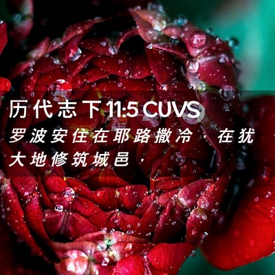 Picture 02 - 历 代 志 下 11:5 CUVS - 罗 波 安 住 在 耶 路 撒 冷 ， 在 犹 - Bible Verse Picture