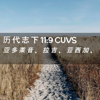 Picture 02 - 历 代 志 下 11:9 CUVS - 亚 多 莱 音 、 拉 吉 、 亚 西 加 - Bible Verse Picture