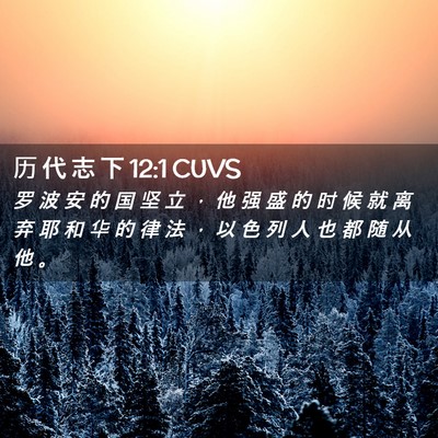 Picture 02 - 历 代 志 下 12:1 CUVS - 罗 波 安 的 国 坚 立 ， 他 强 盛 的 - Bible Verse Picture