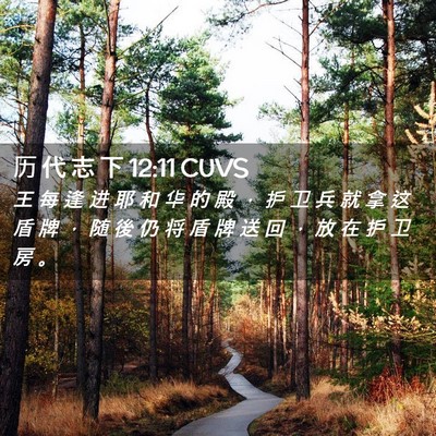 Picture 02 - 历 代 志 下 12:11 CUVS - 王 每 逢 进 耶 和 华 的 殿 ， 护 卫 - Bible Verse Picture