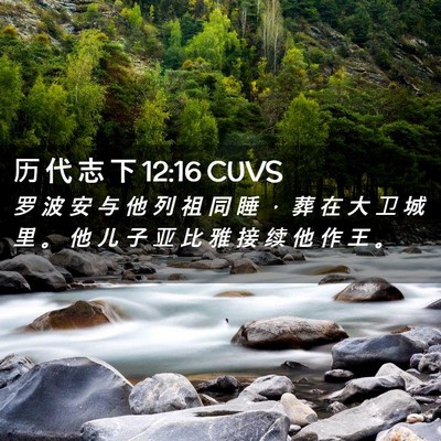 Picture 02 - 历 代 志 下 12:16 CUVS - 罗 波 安 与 他 列 祖 同 睡 ， 葬 在 - Bible Verse Picture