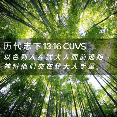 Picture 02 - 历 代 志 下 13:16 CUVS - 以 色 列 人 在 犹 大 人 面 前 逃 跑 - Bible Verse Picture