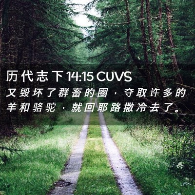 Picture 02 - 历 代 志 下 14:15 CUVS - 又 毁 坏 了 群 畜 的 圈 ， 夺 取 许 - Bible Verse Picture