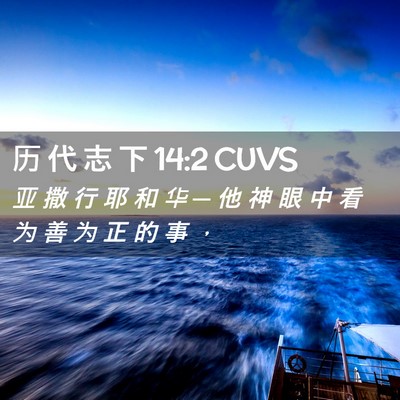 Picture 02 - 历 代 志 下 14:2 CUVS - 亚 撒 行 耶 和 华 ─ 他 神 眼 中 看 - Bible Verse Picture