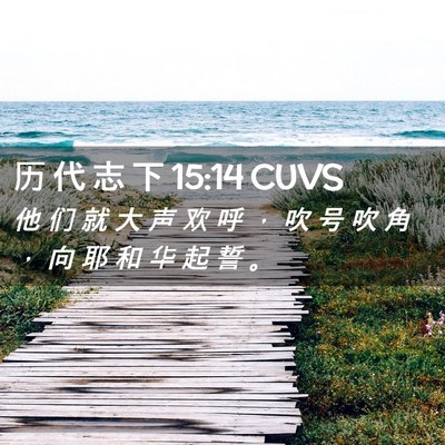 Picture 02 - 历 代 志 下 15:14 CUVS - 他 们 就 大 声 欢 呼 ， 吹 号 吹 角 - Bible Verse Picture