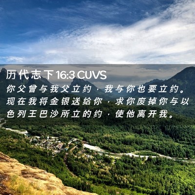 Picture 02 - 历 代 志 下 16:3 CUVS - 你 父 曾 与 我 父 立 约 ， 我 与 你 - Bible Verse Picture