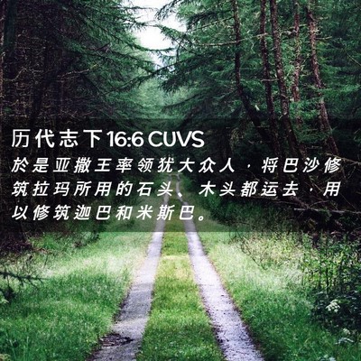 Picture 02 - 历 代 志 下 16:6 CUVS - 於 是 亚 撒 王 率 领 犹 大 众 人 ， - Bible Verse Picture