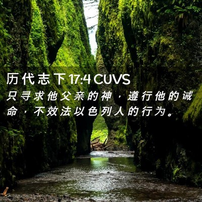 Picture 02 - 历 代 志 下 17:4 CUVS - 只 寻 求 他 父 亲 的 神 ， 遵 行 他 - Bible Verse Picture