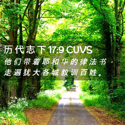 Picture 02 - 历 代 志 下 17:9 CUVS - 他 们 带 着 耶 和 华 的 律 法 书 ， - Bible Verse Picture