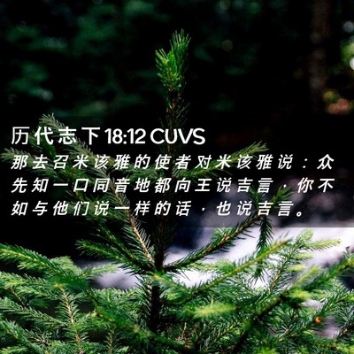 Picture 02 - 历 代 志 下 18:12 CUVS - 那 去 召 米 该 雅 的 使 者 对 米 该 - Bible Verse Picture