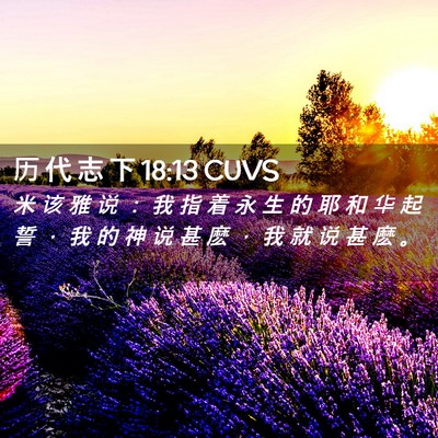 Picture 02 - 历 代 志 下 18:13 CUVS - 米 该 雅 说 ： 我 指 着 永 生 的 耶 - Bible Verse Picture