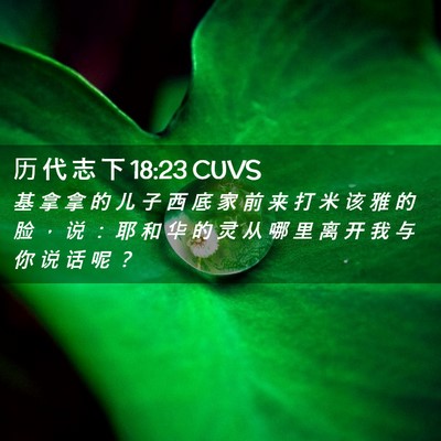 Picture 02 - 历 代 志 下 18:23 CUVS - 基 拿 拿 的 儿 子 西 底 家 前 来 打 - Bible Verse Picture