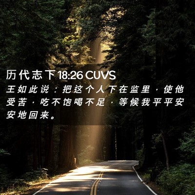 Picture 02 - 历 代 志 下 18:26 CUVS - 王 如 此 说 ： 把 这 个 人 下 在 监 - Bible Verse Picture