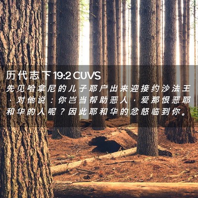 Picture 02 - 历 代 志 下 19:2 CUVS - 先 见 哈 拿 尼 的 儿 子 耶 户 出 来 - Bible Verse Picture