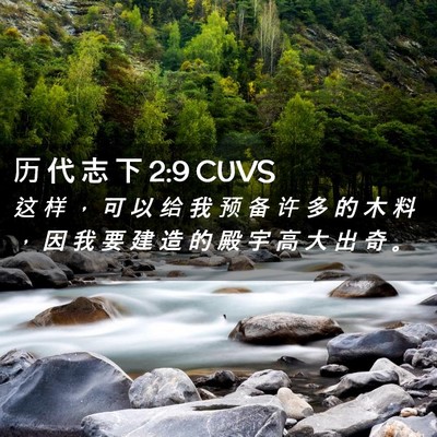 Picture 02 - 历 代 志 下 2:9 CUVS - 这 样 ， 可 以 给 我 预 备 许 多 的 - Bible Verse Picture