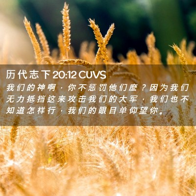 Picture 02 - 历 代 志 下 20:12 CUVS - 我 们 的 神 啊 ， 你 不 惩 罚 他 们 - Bible Verse Picture