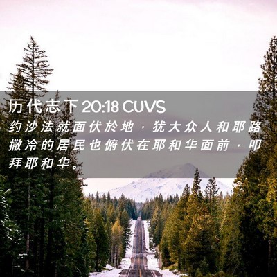 Picture 02 - 历 代 志 下 20:18 CUVS - 约 沙 法 就 面 伏 於 地 ， 犹 大 众 - Bible Verse Picture
