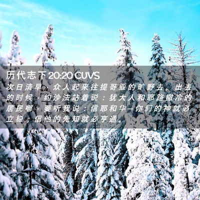 Picture 02 - 历 代 志 下 20:20 CUVS - 次 日 清 早 ， 众 人 起 来 往 提 哥 - Bible Verse Picture
