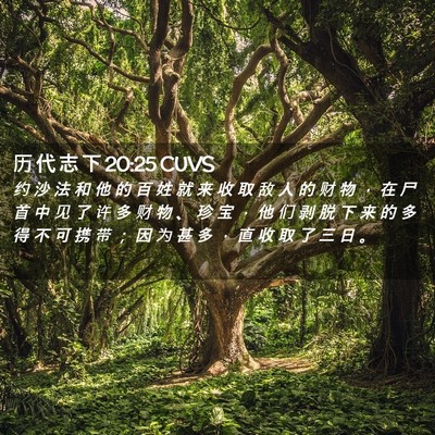 Picture 02 - 历 代 志 下 20:25 CUVS - 约 沙 法 和 他 的 百 姓 就 来 收 取 - Bible Verse Picture