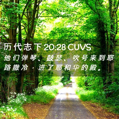 Picture 02 - 历 代 志 下 20:28 CUVS - 他 们 弹 琴 、 鼓 瑟 、 吹 号 来 到 - Bible Verse Picture