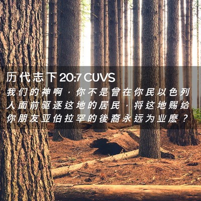 Picture 02 - 历 代 志 下 20:7 CUVS - 我 们 的 神 啊 ， 你 不 是 曾 在 你 - Bible Verse Picture