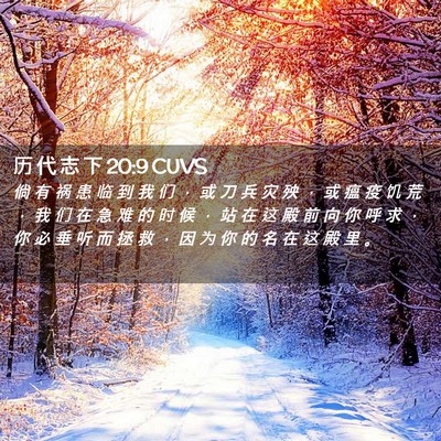 Picture 02 - 历 代 志 下 20:9 CUVS - 倘 有 祸 患 临 到 我 们 ， 或 刀 兵 - Bible Verse Picture