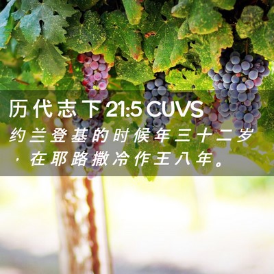 Picture 02 - 历 代 志 下 21:5 CUVS - 约 兰 登 基 的 时 候 年 三 十 二 岁 - Bible Verse Picture