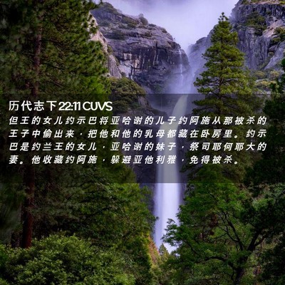 Picture 02 - 历 代 志 下 22:11 CUVS - 但 王 的 女 儿 约 示 巴 将 亚 哈 谢 - Bible Verse Picture