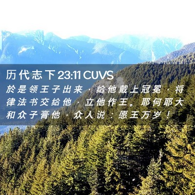 Picture 02 - 历 代 志 下 23:11 CUVS - 於 是 领 王 子 出 来 ， 给 他 戴 上 - Bible Verse Picture