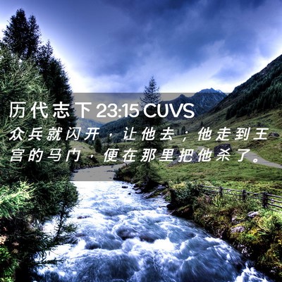 Picture 02 - 历 代 志 下 23:15 CUVS - 众 兵 就 闪 开 ， 让 他 去 ； 他 走 - Bible Verse Picture