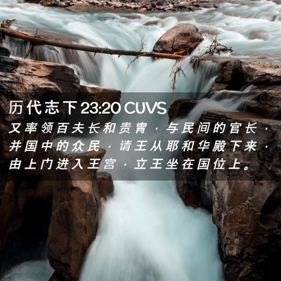 Picture 02 - 历 代 志 下 23:20 CUVS - 又 率 领 百 夫 长 和 贵 胄 ， 与 民 - Bible Verse Picture