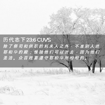 Picture 02 - 历 代 志 下 23:6 CUVS - 除 了 祭 司 和 供 职 的 利 未 人 之 - Bible Verse Picture