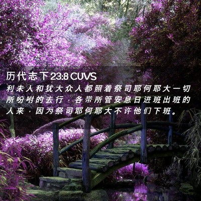 Picture 02 - 历 代 志 下 23:8 CUVS - 利 未 人 和 犹 大 众 人 都 照 着 祭 - Bible Verse Picture