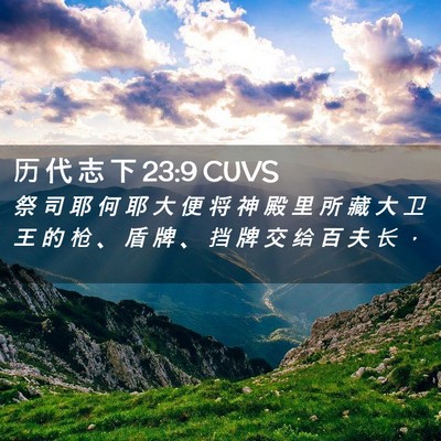 Picture 02 - 历 代 志 下 23:9 CUVS - 祭 司 耶 何 耶 大 便 将 神 殿 里 所 - Bible Verse Picture