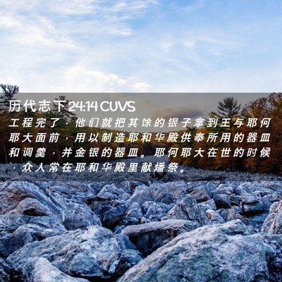 Picture 02 - 历 代 志 下 24:14 CUVS - 工 程 完 了 ， 他 们 就 把 其 馀 的 - Bible Verse Picture