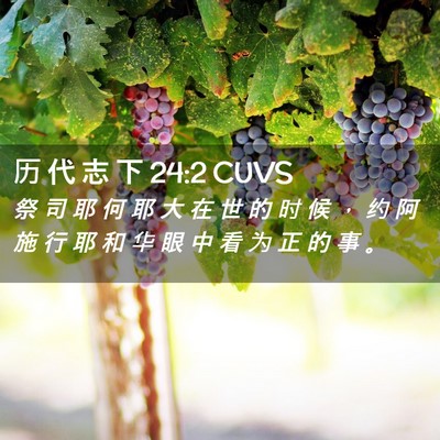 Picture 02 - 历 代 志 下 24:2 CUVS - 祭 司 耶 何 耶 大 在 世 的 时 候 ， - Bible Verse Picture