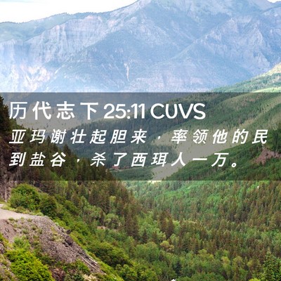 Picture 02 - 历 代 志 下 25:11 CUVS - 亚 玛 谢 壮 起 胆 来 ， 率 领 他 的 - Bible Verse Picture