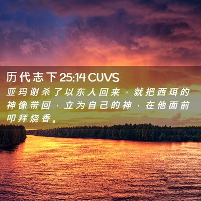Picture 02 - 历 代 志 下 25:14 CUVS - 亚 玛 谢 杀 了 以 东 人 回 来 ， 就 - Bible Verse Picture