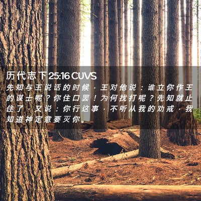 Picture 02 - 历 代 志 下 25:16 CUVS - 先 知 与 王 说 话 的 时 候 ， 王 对 - Bible Verse Picture