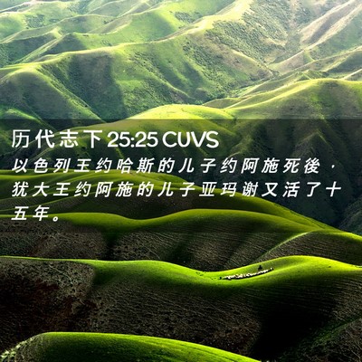 Picture 02 - 历 代 志 下 25:25 CUVS - 以 色 列 王 约 哈 斯 的 儿 子 约 阿 - Bible Verse Picture