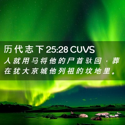 Picture 02 - 历 代 志 下 25:28 CUVS - 人 就 用 马 将 他 的 尸 首 驮 回 ， - Bible Verse Picture