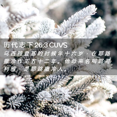 Picture 02 - 历 代 志 下 26:3 CUVS - 乌 西 雅 登 基 的 时 候 年 十 六 岁 - Bible Verse Picture