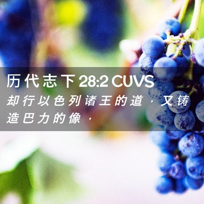 Picture 02 - 历 代 志 下 28:2 CUVS - 却 行 以 色 列 诸 王 的 道 ， 又 铸 - Bible Verse Picture
