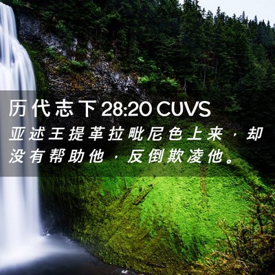 Picture 02 - 历 代 志 下 28:20 CUVS - 亚 述 王 提 革 拉 毗 尼 色 上 来 ， - Bible Verse Picture