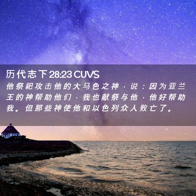Picture 02 - 历 代 志 下 28:23 CUVS - 他 祭 祀 攻 击 他 的 大 马 色 之 神 - Bible Verse Picture