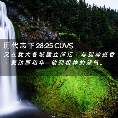 Picture 02 - 历 代 志 下 28:25 CUVS - 又 在 犹 大 各 城 建 立 邱 坛 ， 与 - Bible Verse Picture