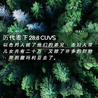 Picture 02 - 历 代 志 下 28:8 CUVS - 以 色 列 人 掳 了 他 们 的 弟 兄 ， - Bible Verse Picture