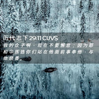 Picture 02 - 历 代 志 下 29:11 CUVS - 我 的 众 子 啊 ， 现 在 不 要 懈 怠 - Bible Verse Picture